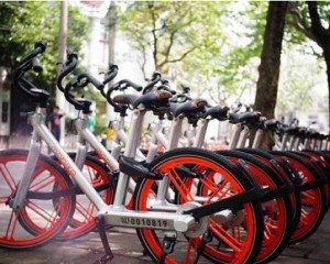 2023河(hé)南(nán)省本科(kē)一(yī)批新增招生(shēng)計(jì)劃征集志(zhì)願的(de)通(tōng)知(zhī)